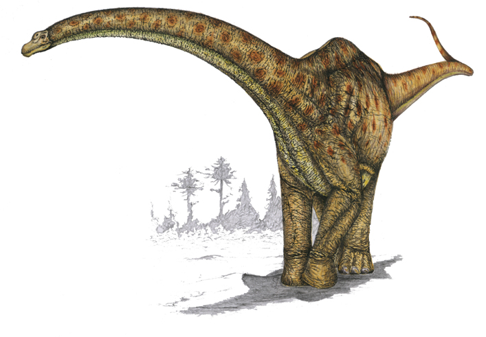 Dinosaur World: Meat Eaters (Encyclopedias 32) (Dec 7, 2007)